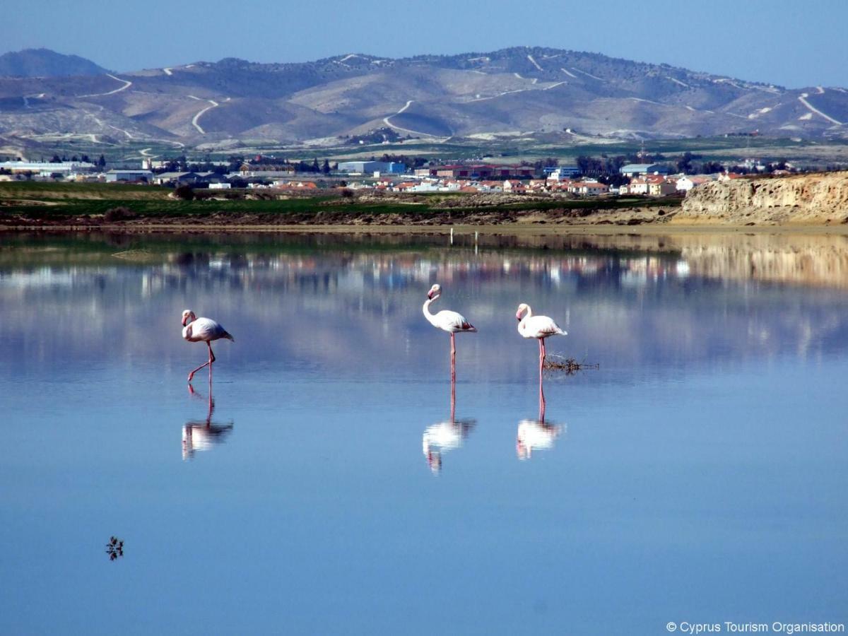 Blue Bay Beach House Larnaca Buitenkant foto